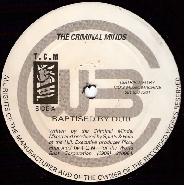 The Criminal Minds – Flying (On A Natural High)